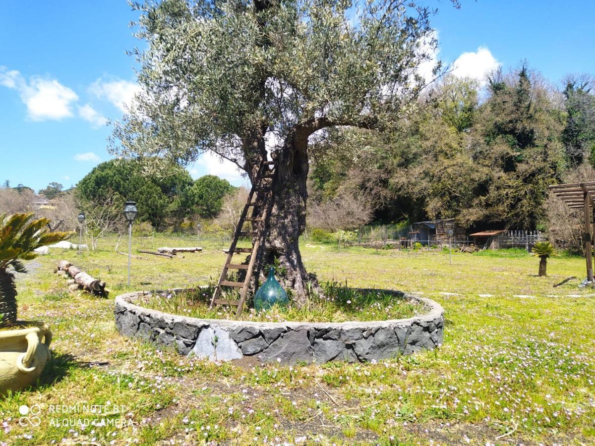 Hotel Antico Palmento Dell'Etna Pedara Zewnętrze zdjęcie